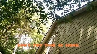 Attic Kings, Animal Removal & Exclusion is in Metro Atlanta removing & proofing for bats #batremoval