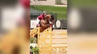 Horses are our friends #rodeo  Equestrian sport #horse #cowboys
