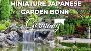 Miniature Japanese Garden Bonn Germany
