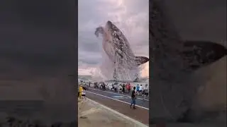 Вот такая вот Акула.