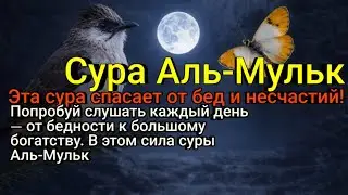 От бедности к богатству — измени свою жизнь и поднимись к трону власти, вот в чём секрет