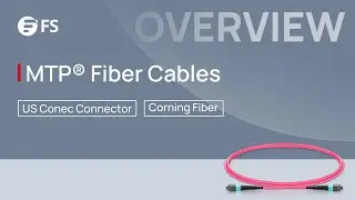 MTP&reg; Fiber Cables Overall Introduction | FS