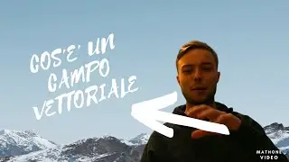 Cos'è un campo vettoriale: definizione ed esempi