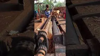 Wood feet sawing sawmill🌲🪵|#peeling #shortsviral