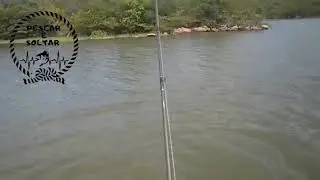 TUCUNAR&Eacute; capturado pelo pescador esportivo Rafael Tavares no Lago de Palmas