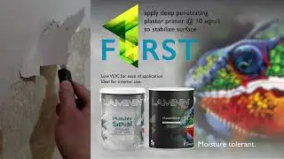 F1RST apply Deep Penetrating Plaster Primer at 10 sqm/L to stabilize the surface.