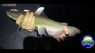 Fishing Tips for Connecticut &ldquo;Community Fishing Waters&rdquo;