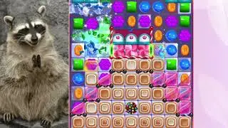 Let's Play Candy Crush Saga Android games level (8162)