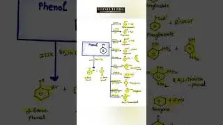 Jee Mains 2026 Organic Chemistry Quick Revision For 99 Percentile