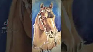 #art #caballos #horse #pintura