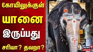 Tiruchendur Deivanai | கோயிலுக்குள் யானை இருப்பது சரியா? தவறா? | Elephant