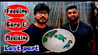 Birds Feeding, Care & Medicine with Sumit da (kolkata lovebirds) Last part