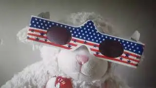 70 Cartoonia Ghosts for 70 Reaction Videos: Starry Ghost react to LambCam: Stars, Stripes, & Lambie