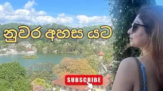 Trees Kandy Hotel | Kandy&rsquo;s Hidden Luxury Escape