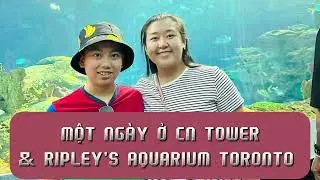 Một ng&agrave;y dẫn c&aacute;c con check in CN Tower & Ripley's Aquarium tại Toronto Canada 🇨🇦