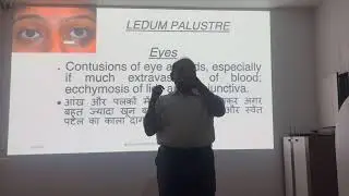 Ledum palustre  Allen