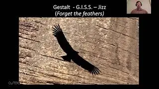 Demystifying Wintering Colorado Raptors with Eric Hynes - A CFO Skills Workshop