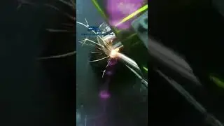 1000W 1500W Laser Welders Handheld Fiber Laser Continuous Welding Machine Carbon Stainless Steel