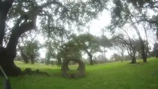 Morning Dew - 1ppo FPV