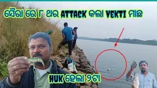 ସୈରା ରେ ୮ ଥର attack କଲା vekti ମାଛ Huk ହେଲା ୨ ଟା#Fishing#trending#viral#amezing#Nalinifishingblog