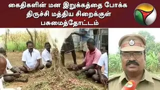 கைதிகளின் மன இறுக்கத்தை போக்க திருச்சி மத்திய சிறைக்குள் பசுமைத்தோட்டம் | Trichy Central Prison