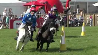 Shetland Pony Grand National