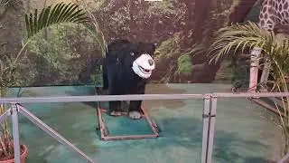 Vasco mermaid show #vasco mela #2026 #jalpari # youtube video