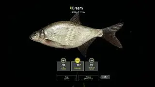 Russian Fishing 4 RF4 Old Burg Lake Spot Bream low bit rate