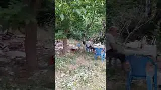 cennetten bir yer. Bursa gemlik fındıcak köyü.