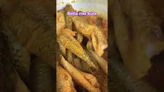 Bailla MAs buna #shortvideo #food #cooking
