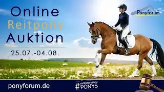 Gin Fizz Wallach 2020 HET Golden Dream / FS Champion de Luxe
