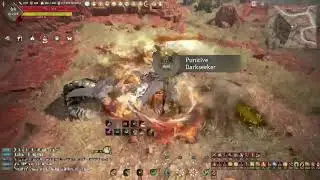 BDO Console | Darkseeker | Grind & Talk