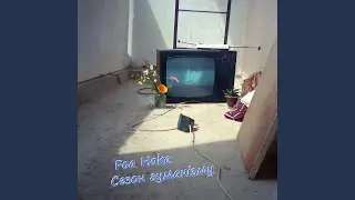 П'ять цифр верблюда