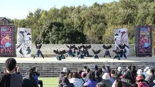 名古屋学生チーム『鯱』　どまつりinモリコロパーク2024  メインステージ1回目