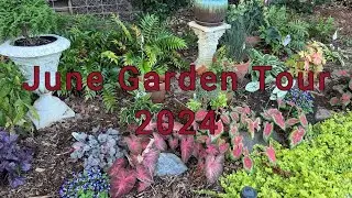Garden Tour June 2024 | Over 50 plants and flowers explained in detail! 🌸