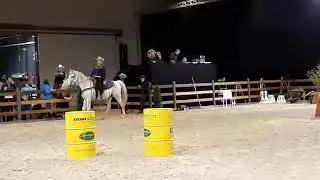 Finale Extreme Winterchallenge 2020 - Purdy Reuse with Shadow (Novice)