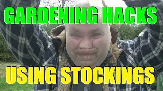 Gardening Hacks - New Uses For Stockings in the Garden!!