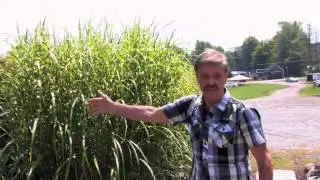 Virtual Tour of The Fosterdale Motor Lodge