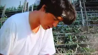 満男の就活