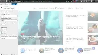 How to customize and setup the Speedify Pagespeed Optimized Wordpress Theme
