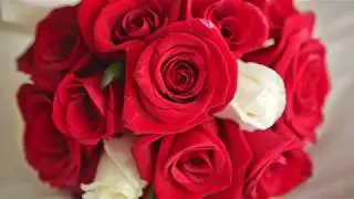 Timeless (The Wedding Song)