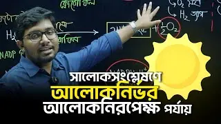 এক ক্লাসে সালোকসংশ্লেষণের অলোকনির্ভর ও আলোকনিরপক্ষে ধাপের A to Z|SSC Biology |  MCQ | CQ |reThink