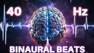 Study & Concentrate Better | 40 Hz Mental Focus Music