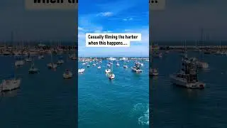 Filming the harbor #funny #fyp #viral #haha #hilarious #harbor #ocean