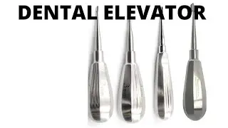 Dental elevator names and uses