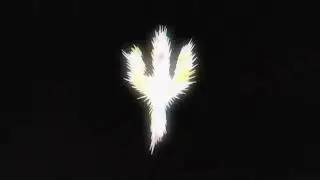 Marco phoenix brand - One Piece Ep 991