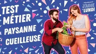 Producteur de plantes : la formation, la récolte des fleurs pour faire des tisanes et glaces