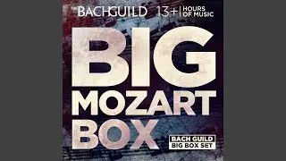 Piano Quartet in G Minor, K. 478: iii. Allegretto