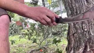 Kailash blades m43 martial review