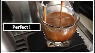 Perfect Double Shot Espresso | Tamp Station | Espresso Vivace
